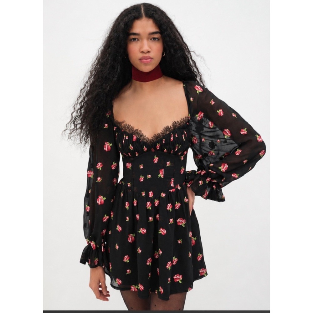 For Love & Lemons Rose Embroidered Corset Bustier Dress Coquette Romantic Goth